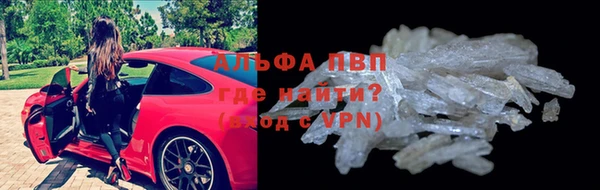 стаф Балахна
