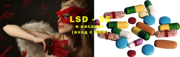 PSILOCYBIN Балабаново